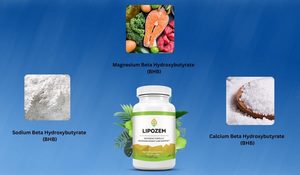 Lipozem Ingredients