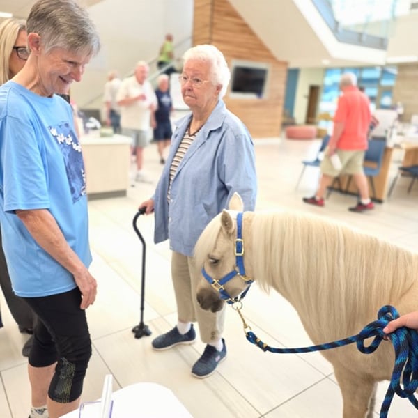 Senior Care Expert Beth Bigham of Greenwood Explains Equine Therapy in Indianapolis for HelloNation