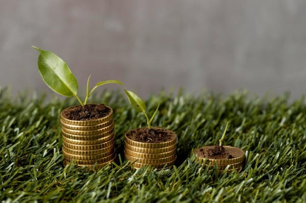 Vietnam Sustainable Finance Market to Hit USD 1,03,791.15 Million by 2033 with a Robust CAGR of 17.02%