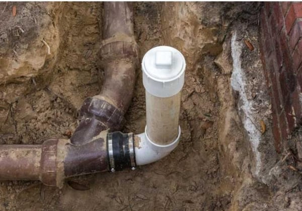 Common Mistakes to Avoid When Ordering Flowers