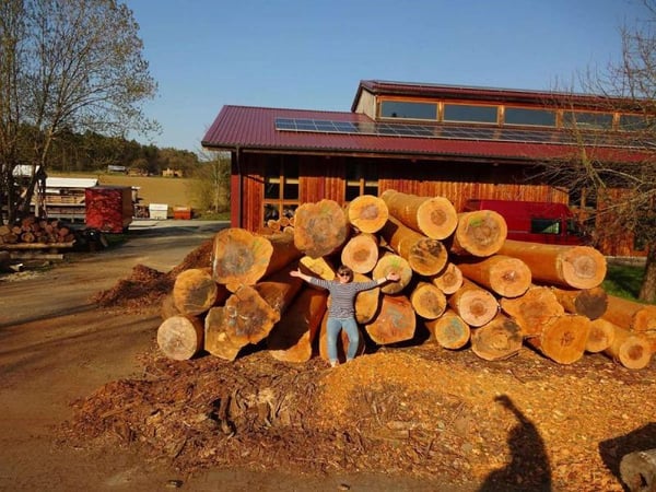 From the forest to the kitchen: How 'Die M?belmacher' realize the regional forest value chain