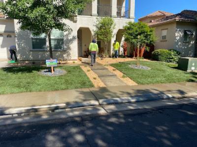 Matias Tree Service and Landscape Contractor Expands