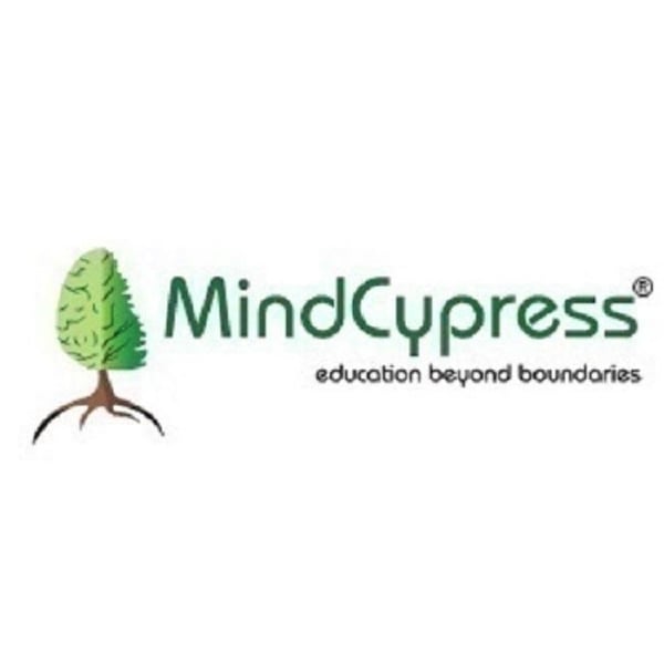 MindCypress(mindcypress.com) Elevates Professional