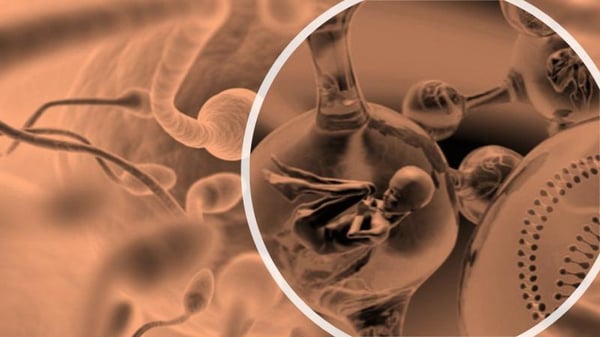 Augmented Reality (AR) in Healthcare Market Expected to Hit 50296.92 USD Million by 2035 with a Remarkable 28.42% CAGR