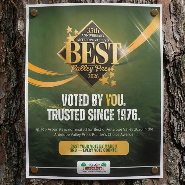 Half a Century of Roots: Antelope Valley Honors Tip Top Arborists with "Best of 2026" Nomination