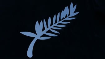 ZDF: Beim Cannes Film Festival: Sechsfache Teilnahme von ZDF/ARTE-Koproduktionen