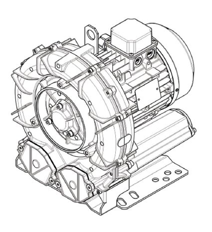 e05MS_MOR (1).jpg